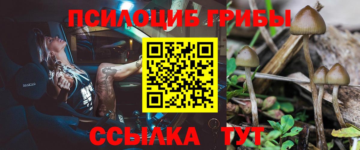 Сатка  Псилоцибиновые грибы Psilocybe  Галлюциногенные грибы Psilocybe  Вход с VPN 