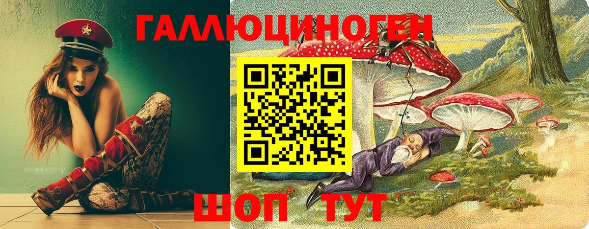 Галлюциногенные грибы Psilocybine cubensis Сатка